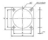 Sealing Gaskets (MS)